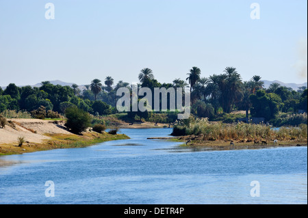 Lussureggianti terreni agricoli sulle rive del fiume Nilo tra Assuan e Luxor, l'Alto Egitto Foto Stock