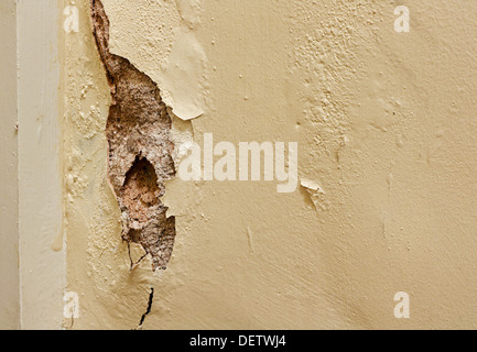 Danneggiato la parete in gesso in bisogno di un rinnovo da pittori e decoratori all'interno di una casa residenziale Foto Stock