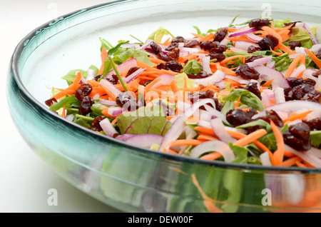 Colorati misti insalata di mirtillo palustre e la carota con lattuga e bambino lascia Foto Stock