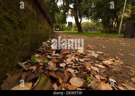 Foglie di autunno e rusty foglie colorate portando in autunno a Glasgow, Scotland, Regno Unito 2013. Brown, arancione e rosso Foto Stock