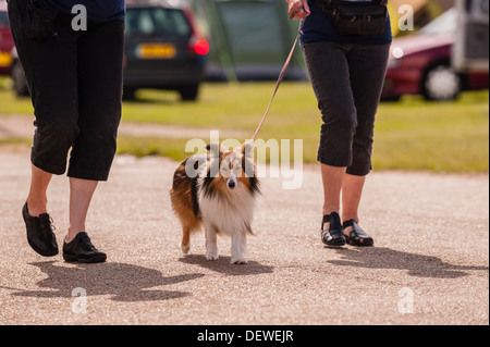 Una donna con il suo cane al Tutto su cani mostrano al Norfolk Showground, Norwich, Norfolk, Inghilterra, Regno Unito Foto Stock