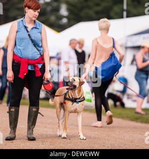 Una donna con il suo cane al Tutto su cani mostrano al Norfolk Showground, Norwich, Norfolk, Inghilterra, Regno Unito Foto Stock