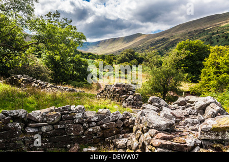 Un secco tumbledown muro di pietra lungo un sentiero pubblico nel Cwm Oergwm nel Parco Nazionale di Brecon Beacons. Foto Stock