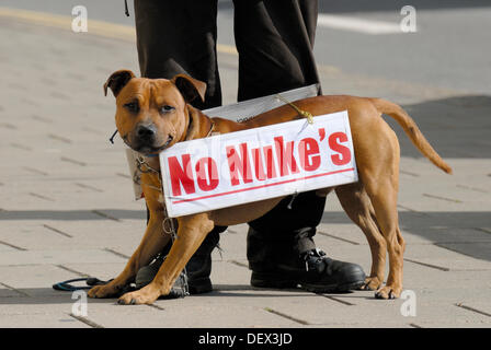 Brighton, Regno Unito. 24Sep, 2013. Labour Party Conference, Brighton, Inghilterra. 24/09/2013. I diruttori Stuart Holmes con il suo cane, chiamato anche Stuart. (Bad grammatica - apostrofo utilizzato per un plurale) le campagne contro il nucleare Foto Stock