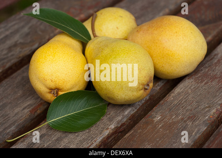 Succosa pera e foglie di pera Foto Stock