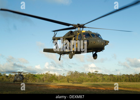 Un U.S. Esercito UH-60 Black Hawk elicottero decolla come segue un altro che trasportano Marines durante una formazione congiunta esercizio sett. 12 Foto Stock