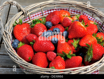 Fragole, mirtilli e lamponi in un cestello Foto Stock