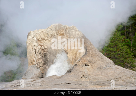 Geyser gigante, Upper Geyser Basin, il Parco Nazionale di Yellowstone, Wyoming USA Foto Stock