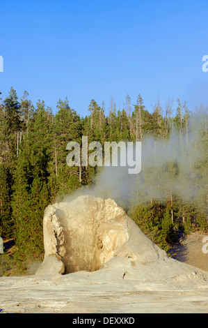 Geyser gigante, Upper Geyser Basin, il Parco Nazionale di Yellowstone, Wyoming USA Foto Stock