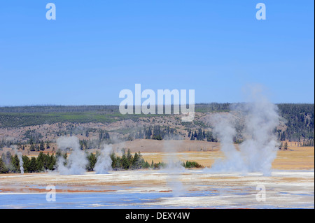 Geyser nella fontana vaso di vernice area, il Parco Nazionale di Yellowstone, Wyoming USA Foto Stock