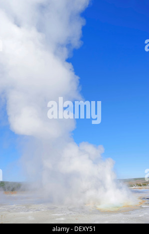 A clessidra Geyser, Fontana vaso di vernice area, il Parco Nazionale di Yellowstone, Wyoming USA Foto Stock