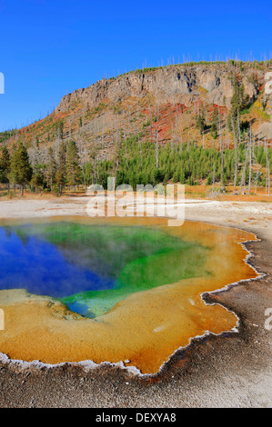 Piscina smeraldo, primavera calda sabbia nera bacino, il Parco Nazionale di Yellowstone, Wyoming USA Foto Stock