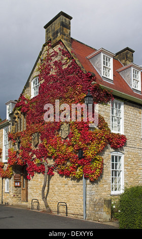 Red edera sul muro di una casa in Helmsley, England, Regno Unito, Europa Foto Stock