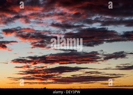 Rosso brillante, belli e colorati di alba, la colorazione delle nuvole con rosso, arancione e rosa. New Scenic 5 posti, drammatico, foto rurale Foto Stock