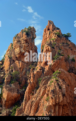 Il bizzarro tipiche rocce rosse delle Calanche di Piana sotto un cielo blu e alcune nuvole. Le Calanche di Piana è in western Foto Stock