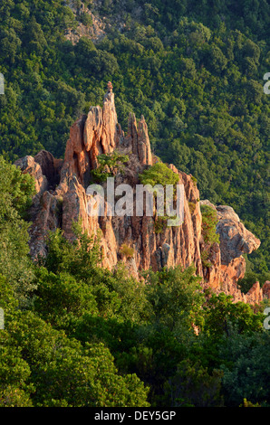 Il bizzarro tipiche rocce rosse delle Calanche di Pianasurrounded dal verde della macchia. Le Calanche di Piana è nella parte occidentale di Foto Stock
