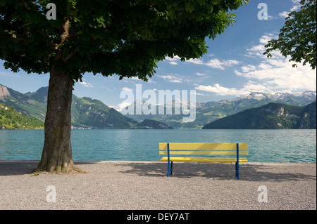 Panchina sul lungomare, Weggis, il Lago di Lucerna, il cantone di Lucerna, Svizzera, Europa Foto Stock