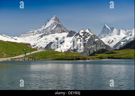 Bachalpsee lago vicino a Grindelwald, montagna Faulhorn e Finsteraarhorn sul retro, Oberland bernese, il Cantone di Berna, Svizzera Foto Stock