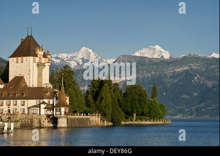 Schloss Oberhofen castello nei pressi di Thun e il Lago di Thun, montagne Eiger, Moench e Jungfrau sul retro, il Cantone di Berna, Svizzera, Europa Foto Stock