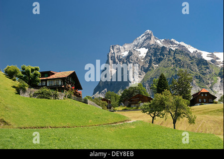 Grindelwald, Mt Wetterhorn sul retro, Oberland bernese, il Cantone di Berna, Svizzera, Europa Foto Stock