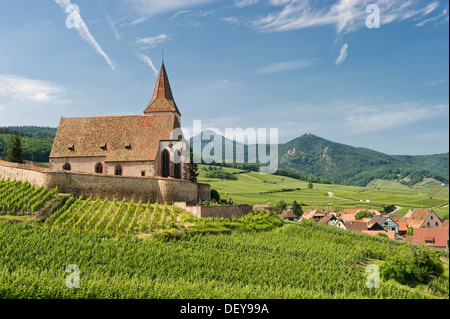 Chiesa di San Jacques, paesaggio e vigneti, Hunawihr, Alsazia, Francia, Europa Foto Stock