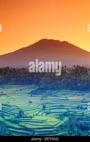 Indonesia, Bali, Redang, Vista dei terrazzi di riso e Gunung Agung Vulcano Foto Stock