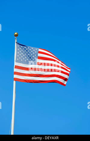 A stelle e strisce, bandiera degli STATI UNITI D'AMERICA, Florida, Stati Uniti Foto Stock