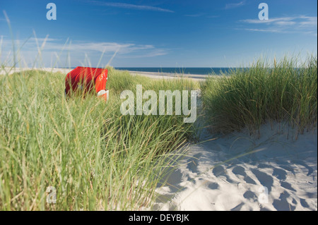 Dune e dal tetto rosso in vimini sedia spiaggia, Amrum, Nord Isole Frisone, Schleswig-Holstein Foto Stock