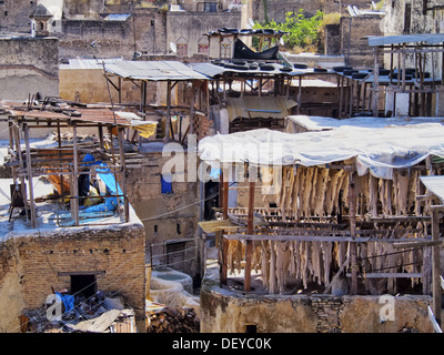 La Conceria famoso all'interno della vecchia medina di Fès, Marocco, Africa Foto Stock