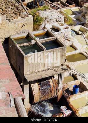 La Conceria famoso all'interno della vecchia medina di Fès, Marocco, Africa Foto Stock