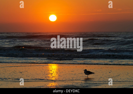 Tramonto su una spiaggia sul Mare del Nord vicino a Vejers Strand, Jutland, Danimarca, Europa Foto Stock