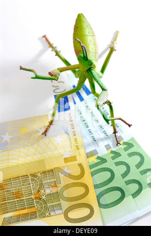 Locust sulla banconota, immagine simbolica per fondi di fondi hedge Foto Stock