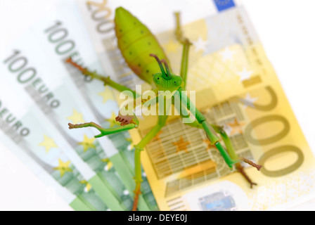 Locust sulla banconota, immagine simbolica per fondi di fondi hedge Foto Stock