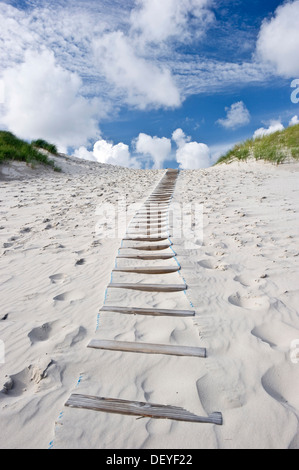 Dune e spiaggia di sabbia bianca e passaggi, Kniepsand, Amrum, Amrum, Nord Isole Frisone, Schleswig-Holstein, Germania Foto Stock