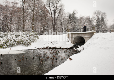 L uomo ha fame di alimentazione anatre in bagni Royal Park Foto Stock