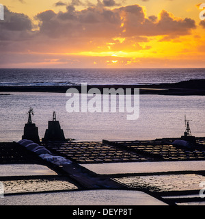 Saline a Salinas de Janubio saline al tramonto Lanzarote Isole Canarie Spagna Europa Foto Stock