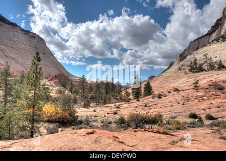 Questa è una vista di una piccola valle di arenaria tra due montagne di arenaria. I colori dell'autunno cominciano ad apparire. Foto Stock