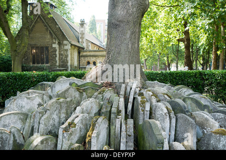 Old St Pancras chiesa, con la Hardy albero in primo piano. Paesaggio. Foto Stock