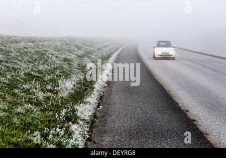 Auto su una nebbia dike road, targa, modificati in Kirchwerder, Vier- und Marschlande, Amburgo Foto Stock