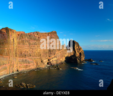 Ponta do Castelo cliffs, Ponta do Castelo, Madeira, Portogallo Foto Stock