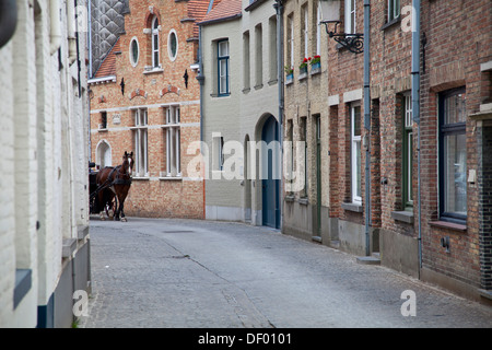 Carrozza a cavallo nel centro di Bruges, Fiandre, in Belgio, Europa Foto Stock