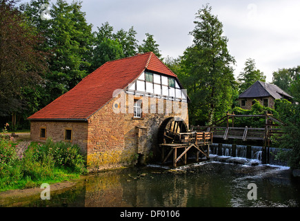 Frantoio del XVIII secolo, a Schloss castello del freno, Lemgo, Renania settentrionale-Vestfalia Foto Stock