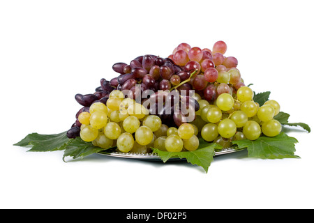 Varietà di uva fresca cultivar rappresentato su una piastra laden con fresco grappoli di uva disposti su foglie di vite su un bianco Foto Stock