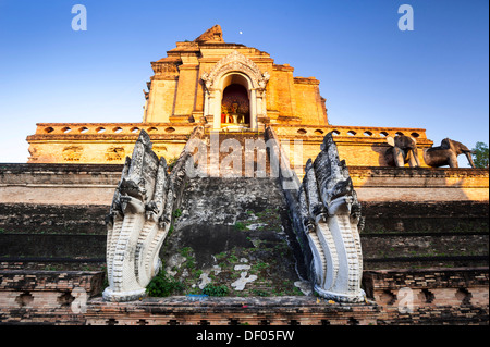 Il grande stupa e le rovine del tempio di Wat Chedi Luang, Chiang Mai, Thailandia del Nord della Thailandia, Asia Foto Stock