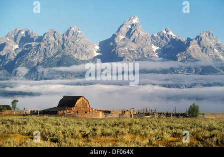 Elk266-1401, Wyoming Grand Teton National Park, Tetons con fila di mormoni granaio, 1900s Foto Stock