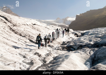 Un gruppo di turisti escursioni, Svinafellsjoekull lingua del ghiacciaio, Skaftafell National Park, Austurland, orientale, Islanda Islanda Foto Stock
