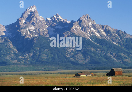 Elk266-1451, Wyoming Grand Teton National Park, Tetons con fila di mormoni granaio, XIX c Foto Stock