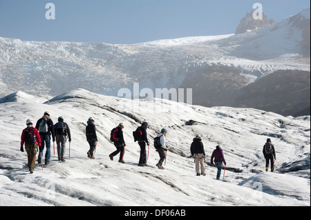 Un gruppo di turisti escursioni, Svinafellsjoekull lingua del ghiacciaio, Skaftafell National Park, Austurland, orientale, Islanda Islanda Foto Stock