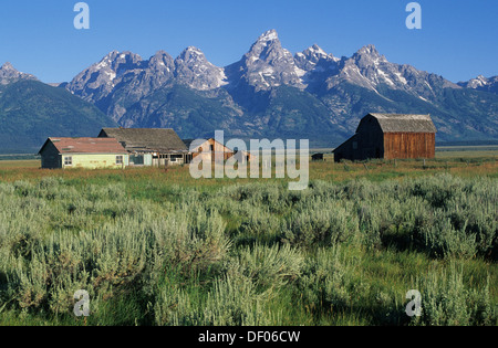 Elk266-1456, Wyoming Grand Teton National Park, Tetons con fila di mormoni granaio, XIX c Foto Stock