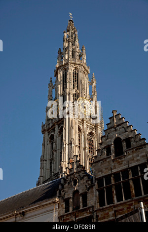 Il campanile della chiesa di Onze-Lieve-Vrouwekathedraal (Cattedrale di Nostra Signora di Anversa, Belgio, Europa Foto Stock